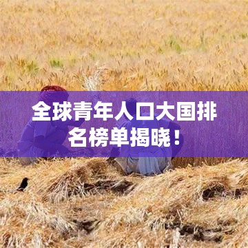 2025年5月4日 第2页