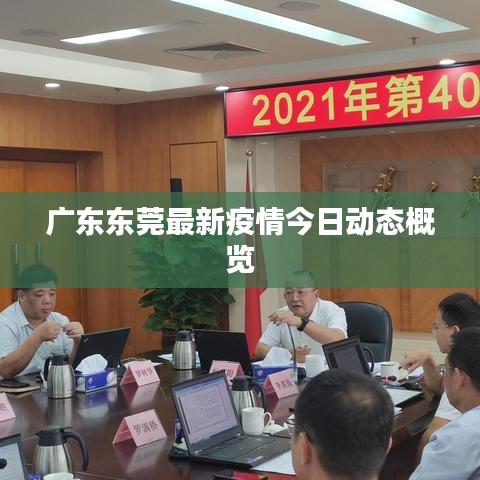 2025年5月11日 第2页