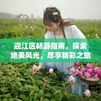 飞鸟惊蛇
