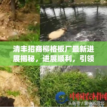成功案例 第9页