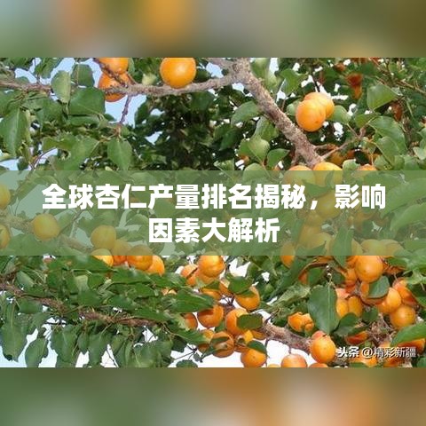 2025年5月17日