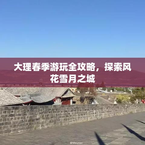 2025年5月19日