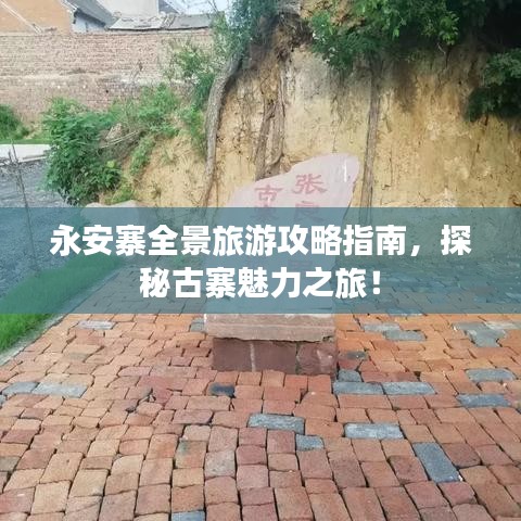 蜎飞蠢动