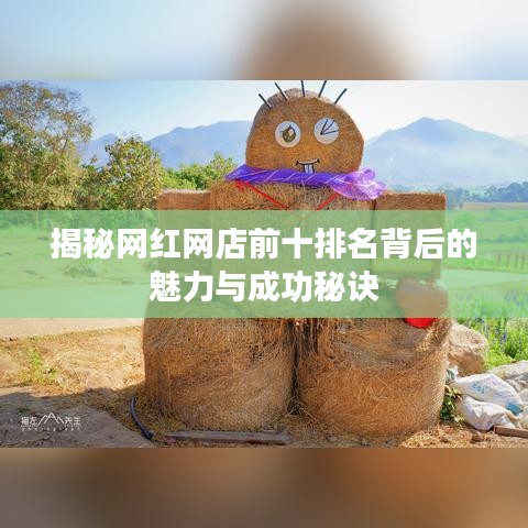揭秘网红网店前十排名背后的魅力与成功秘诀
