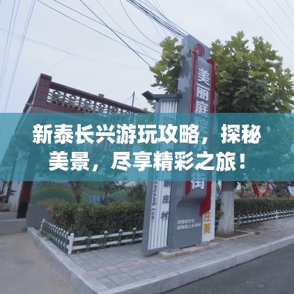 定谋贵决