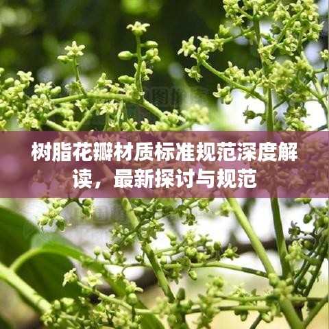 树脂花瓣材质标准规范深度解读，最新探讨与规范