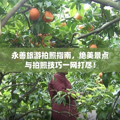 永善旅游拍照指南，绝美景点与拍照技巧一网打尽！