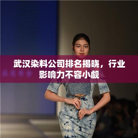 武汉染料公司排名揭晓，行业影响力不容小觑