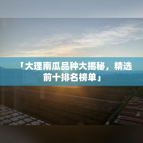 「大理南瓜品种大揭秘，精选前十排名榜单」