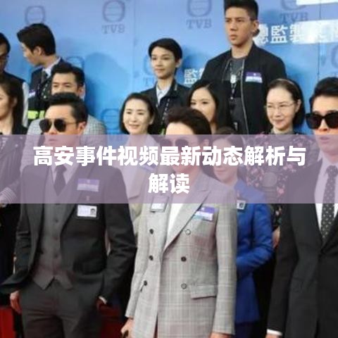 高安事件视频最新动态解析与解读