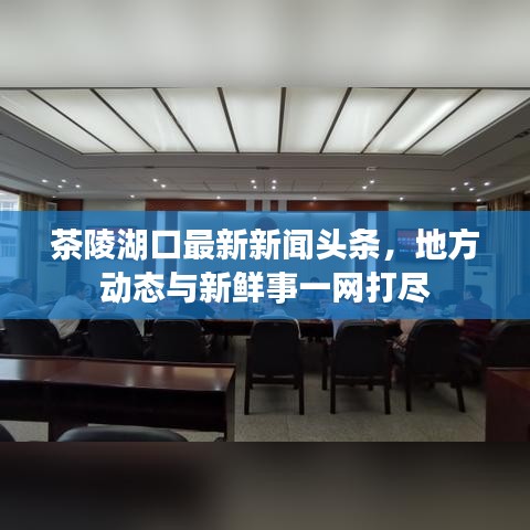 茶陵湖口最新新闻头条，地方动态与新鲜事一网打尽