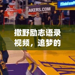 撒野励志语录视频，追梦的勇气与力量，激发无限潜能！