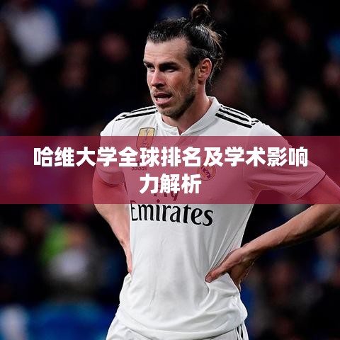 哈维大学全球排名及学术影响力解析