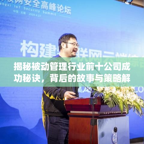 揭秘被动管理行业前十公司成功秘诀，背后的故事与策略解析