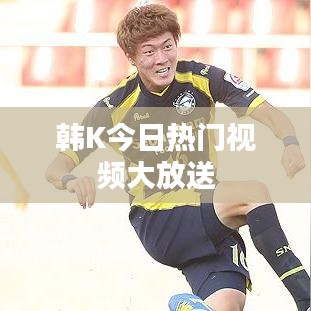 韩K今日热门视频大放送