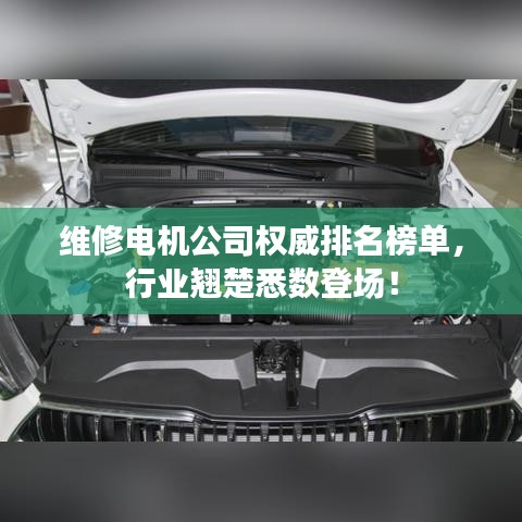 维修电机公司权威排名榜单，行业翘楚悉数登场！