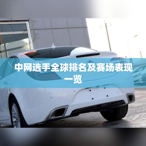 中网选手全球排名及赛场表现一览
