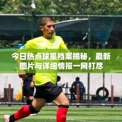今日热点球星档案揭秘，最新图片与详细情报一网打尽