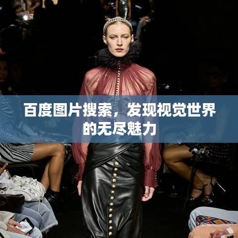 百度图片搜索，发现视觉世界的无尽魅力