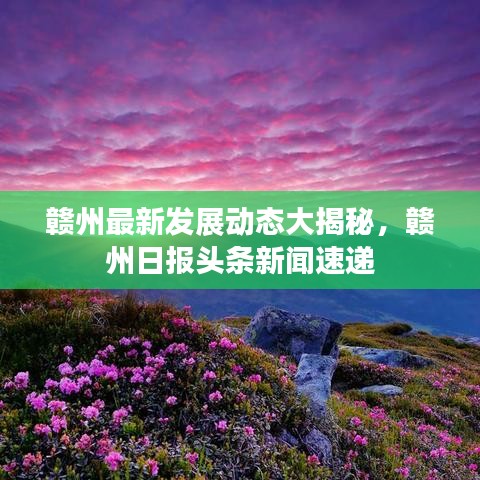 赣州最新发展动态大揭秘，赣州日报头条新闻速递