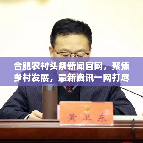 合肥农村头条新闻官网，聚焦乡村发展，最新资讯一网打尽