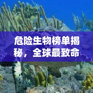 危险生物榜单揭秘，全球最致命的十种生物