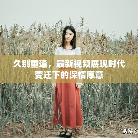 久别重逢，最新视频展现时代变迁下的深情厚意