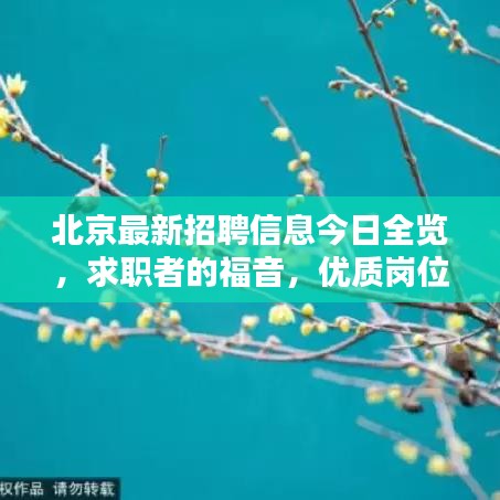 北京最新招聘信息今日全览，求职者的福音，优质岗位一网打尽！