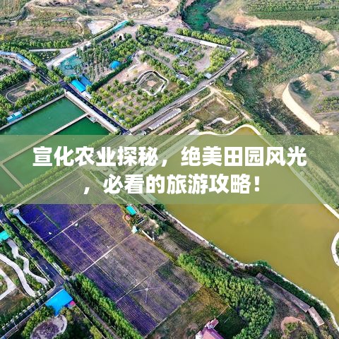 宣化农业探秘，绝美田园风光，必看的旅游攻略！