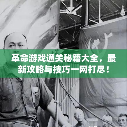 革命游戏通关秘籍大全，最新攻略与技巧一网打尽！