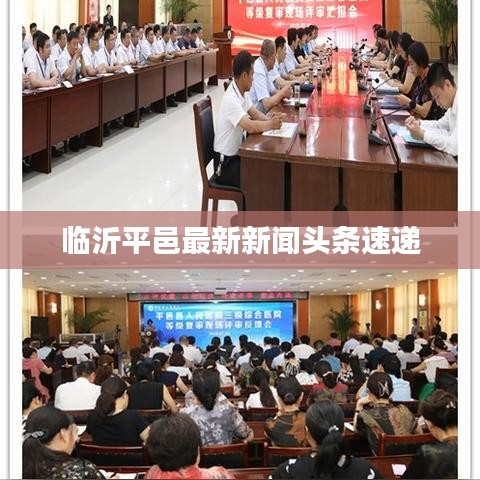 临沂平邑最新新闻头条速递