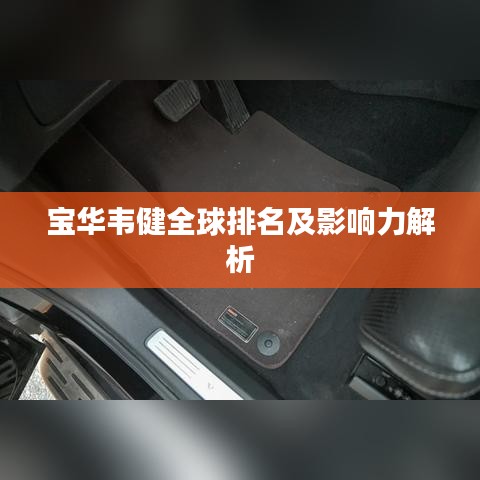 宝华韦健全球排名及影响力解析