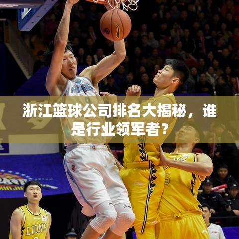 浙江篮球公司排名大揭秘，谁是行业领军者？