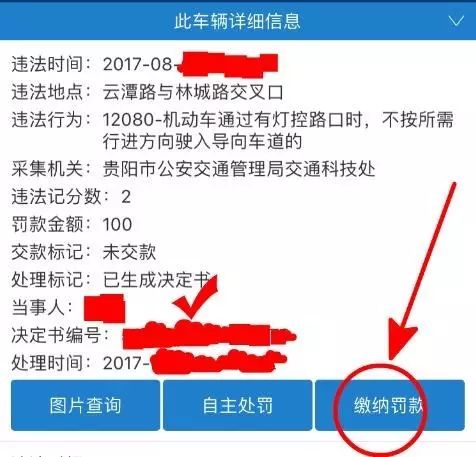 贵州交警app官方下载..,科学数据评估|模拟版_v8.994