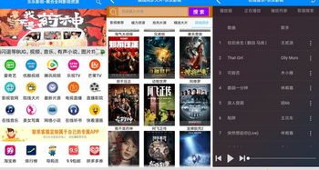 下载官方花魁，揭秘小众软件的无限魅力——精准实施步骤WP1_v2.761