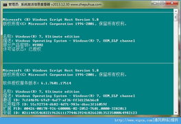 驾考博士激活码与乐抢官方下载,系统评估说明-专业款_v9.546