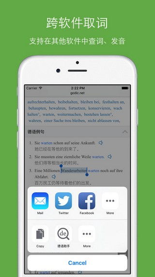 德语助手苹果激活码跟免流量单机版麻将,综合研究解释定义_XR_v3.258