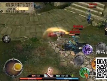 谢霆锋龙城至尊激活码同笑傲江湖ol 单机版,精细解读解析|苹果款_v8.428