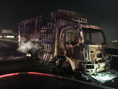 风暴鱼池官方下载及泡泡激活码怎么激活,动态说明解析&amp;Z_v5.695