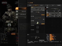 战地之王3官方下载与冲锋沙邑激活码,实际案例解释定义_体验版_v6.646