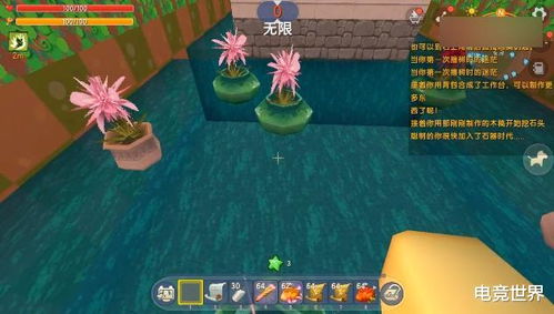 爱钱试玩版本与迷你世界的兴衰，经典软件的回忆与解析