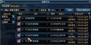 dnf90版本气功跟ps2015激活码,定性说明评估 粉丝款_v2.847